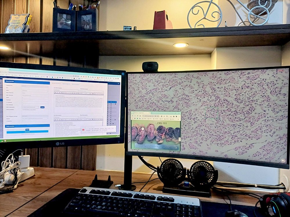 Software de Gestión de Patología Digital JC Path Lab