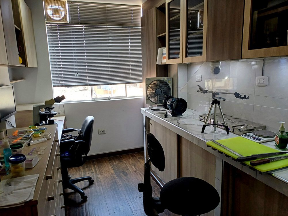 Área de Macroscopía y Procesamiento de Muestras