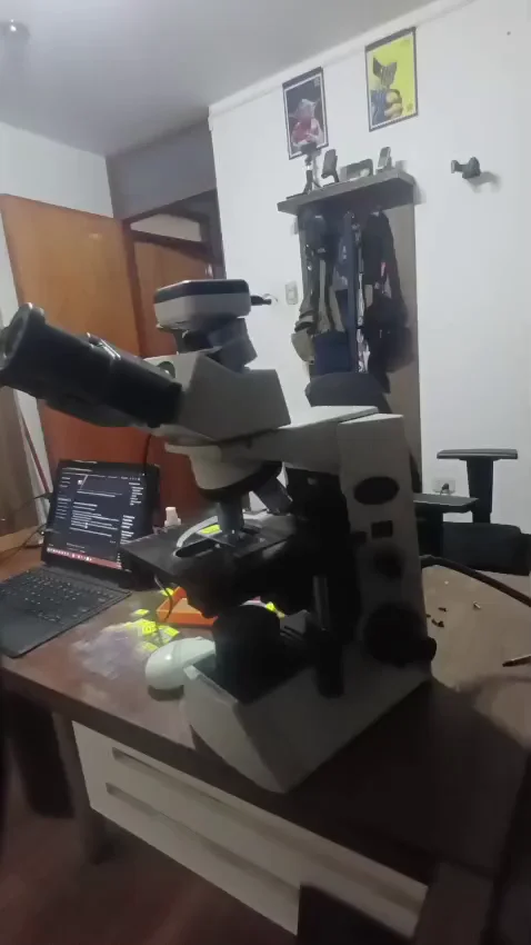 Microscopio en rotación 360